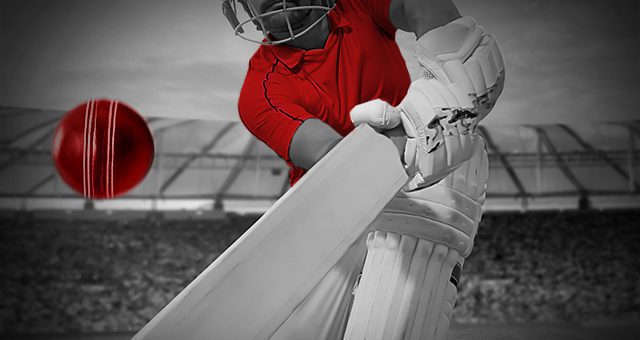 cricket betting online at betiton sport