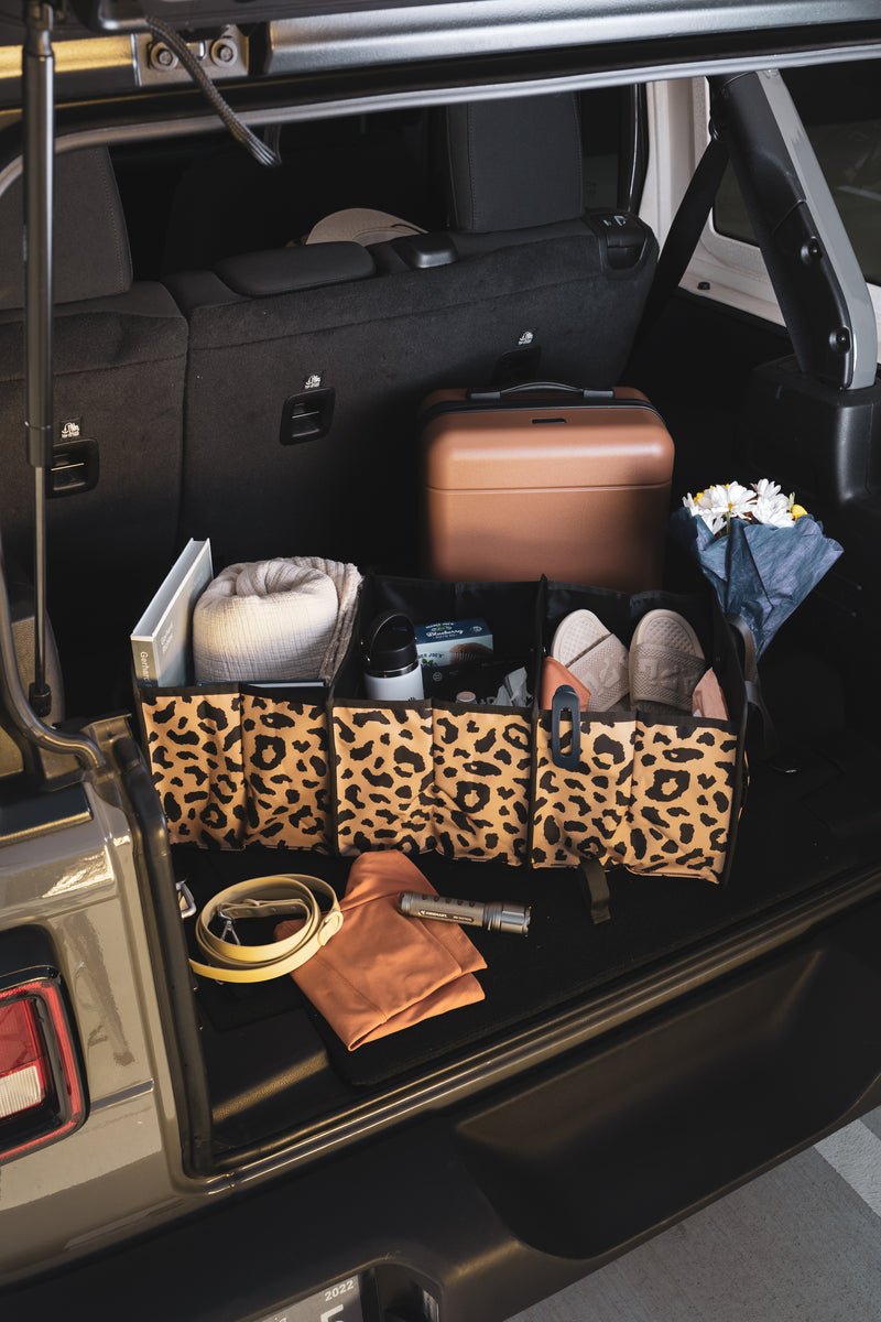 CALPAK car trunk organizer for shoes