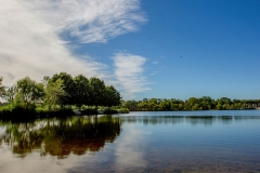 DMW17CooperRiverPark-1_0000s_0070__DMW17CooperRiverPark71