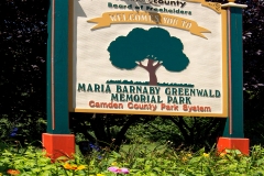 maria-greenwald-1