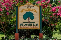 Wallworth-Park-1