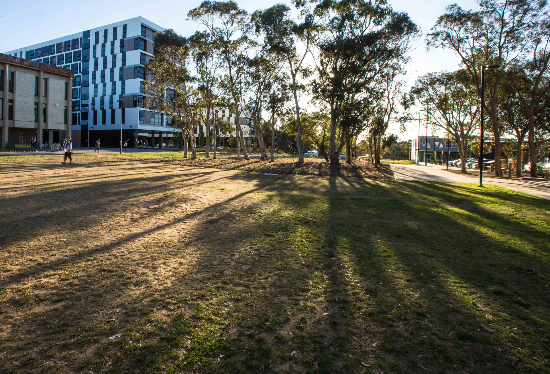 the sun setting over the cooper lodge residences