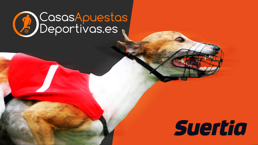 apuestas virtuales en carreras de galgos en Suertia