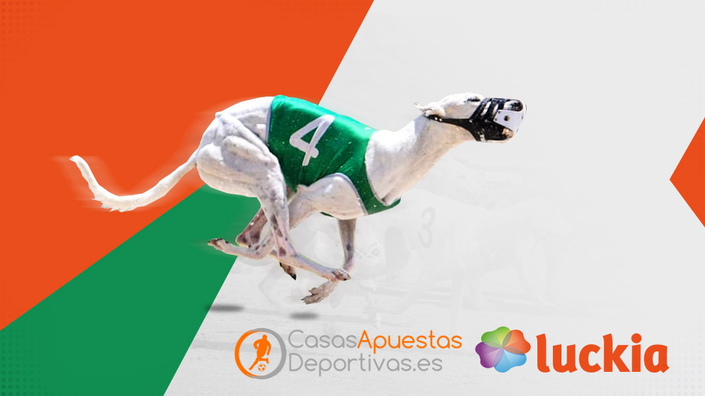 carreras virtuales de galgos en luckia