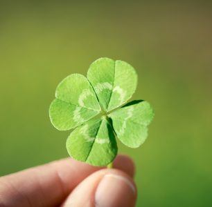 Person holding four leaf clover