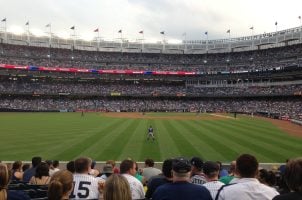 Fans im Baseballstadion