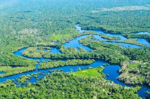 Amazon Rain forest