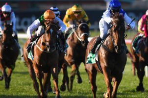 Horses and jockeys participating in a horse race