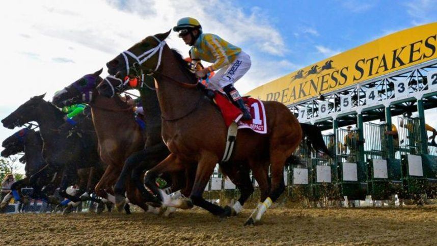 Preakness Stakes, Pimlico Race Course, Maryland, Stronach Group