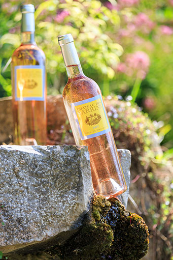 ROSÉ - Château des Sarrins - AOC Côtes de Provence