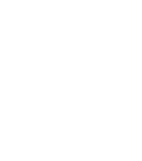 What Works Cities Silver 2021