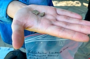 A view of some of the Native American artifacts found at St. Clement's Island in Southern Maryland. Recent archaeological digs at the site show the rich history of tribes in the area that many say is often overlooked. Photo taken summer of 2022. (Dana Hedgpeth/The Washington Post via AP)