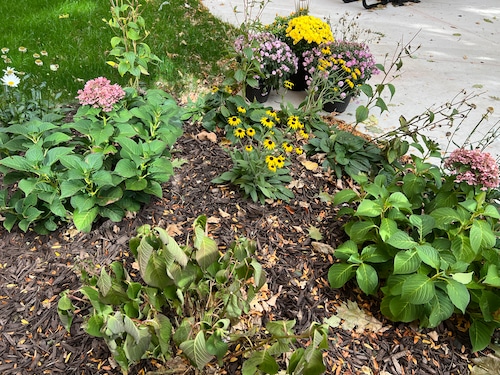 The Lakewood Family YMCA recently dedicated Susan’s Garden, which is located in the back of the Detroit Road building