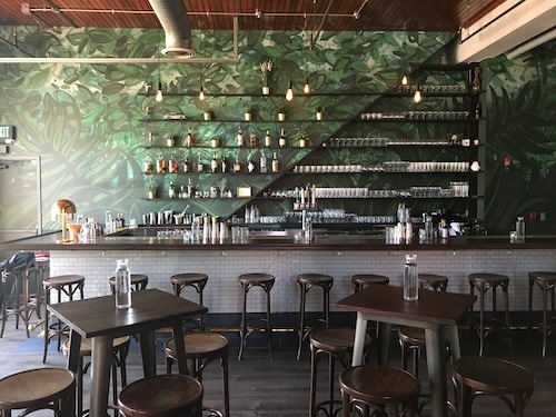 After five years in Clevelands Tremont neighborhood Will Hollingsworth has expanded his cocktail bar south to Akron.