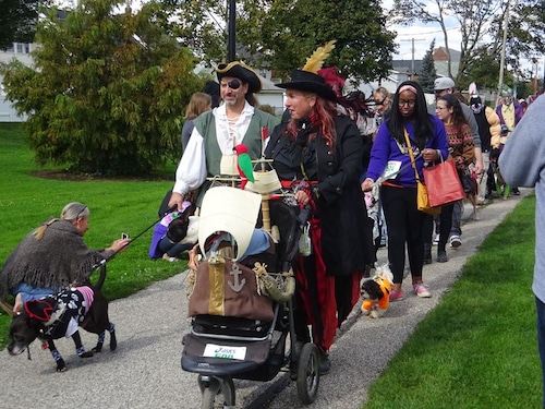 Halloween dog parade