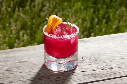 Prickly Pear & Agave Margarita