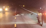An alligator makes itself at home in the middle of a road in North Carolina.