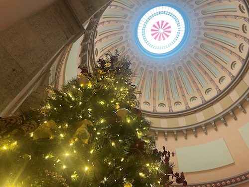 Christmas tree in the Rotunda