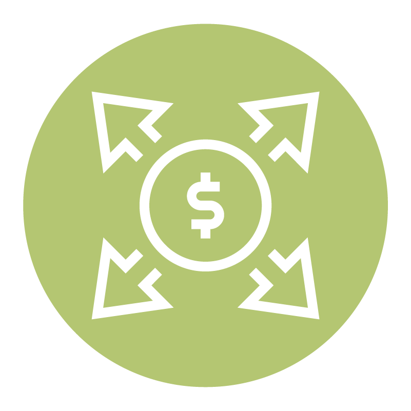 maximize enterprise value icon