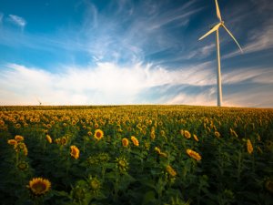 IoT and Cloud Foundry Amplify Kaiserwetter’s Renewable Energy Data