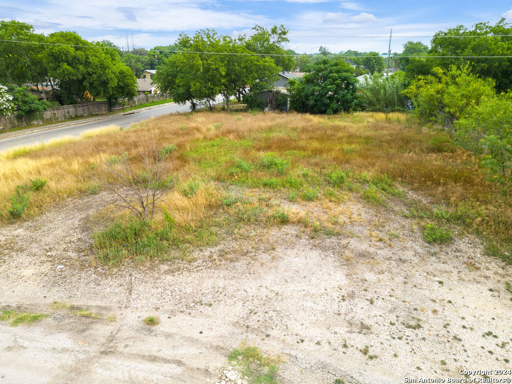 a view of a yard with a plant