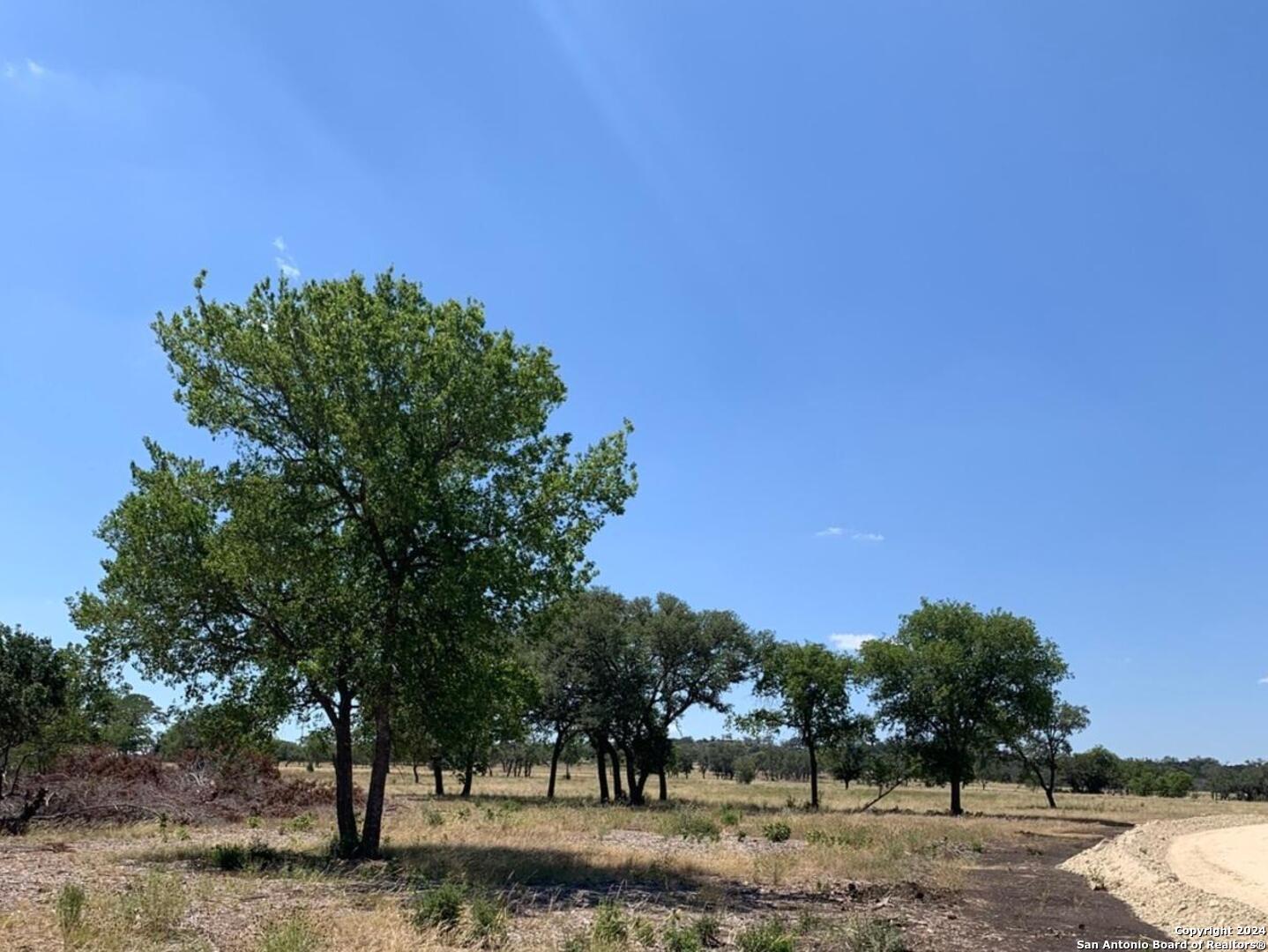 a view of a yard with a tree