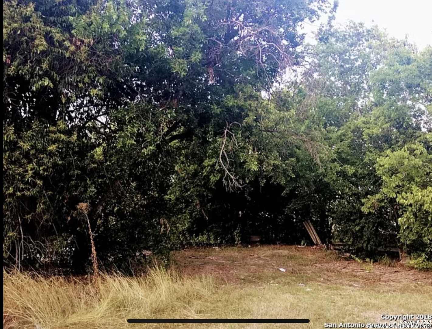 a view of outdoor space with trees