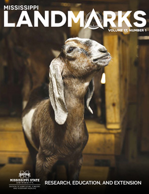 Landmarks Vol 17 No 1 cover.