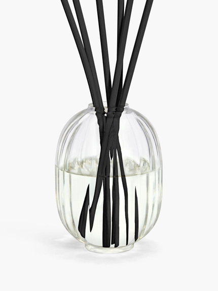 Baies (Berries) - Home Fragrance Diffuser