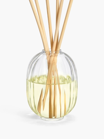 Figuier (Fig Tree) - Home Fragrance Diffuser