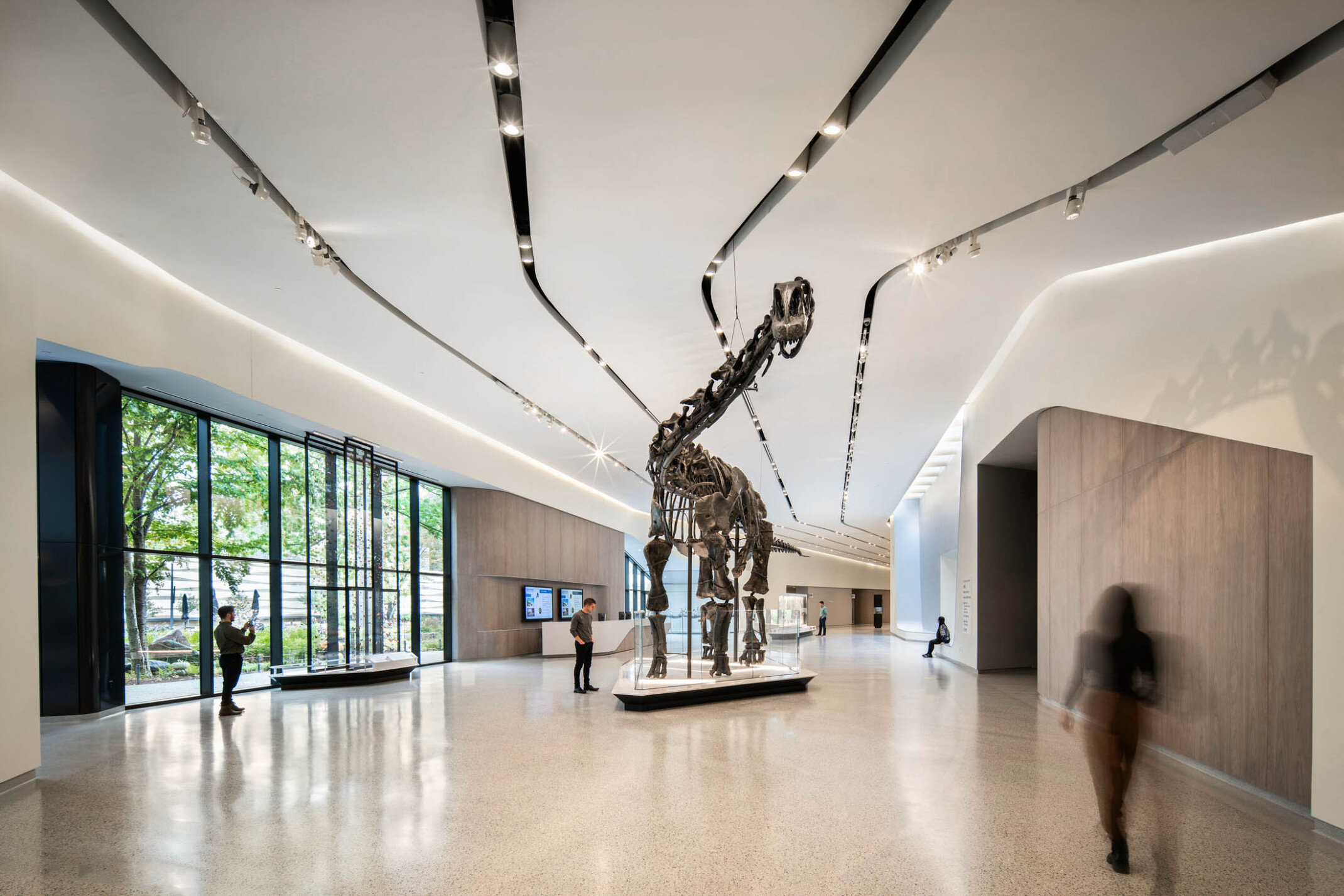 A dinosaur skeleton in an exhibition hall with people walking and viewing the exhibit in the large space with white walls, light tile flooring