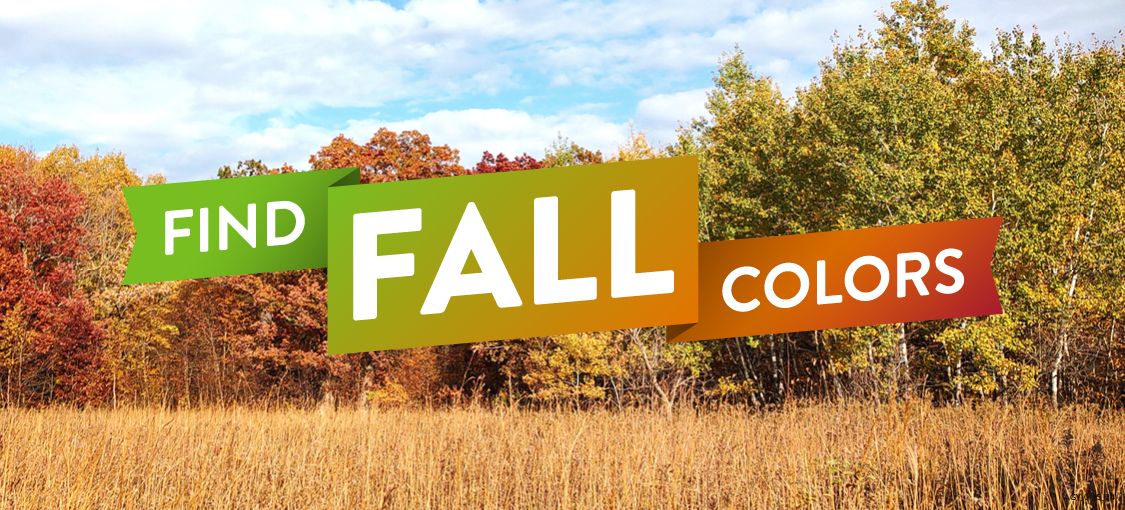 Find fall colors