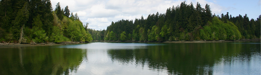 Color photo of Chapman Bay which is part of Woodard Bay-water reflection 