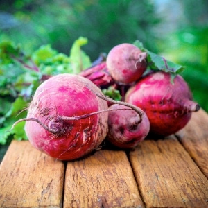 Beetroot Plants