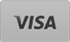 visa logo