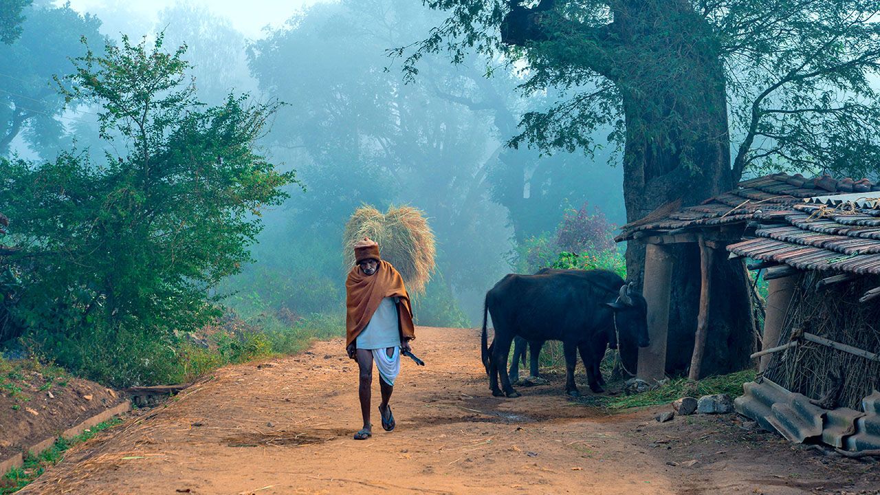 An elderly farmer walking in a village in Araku, India