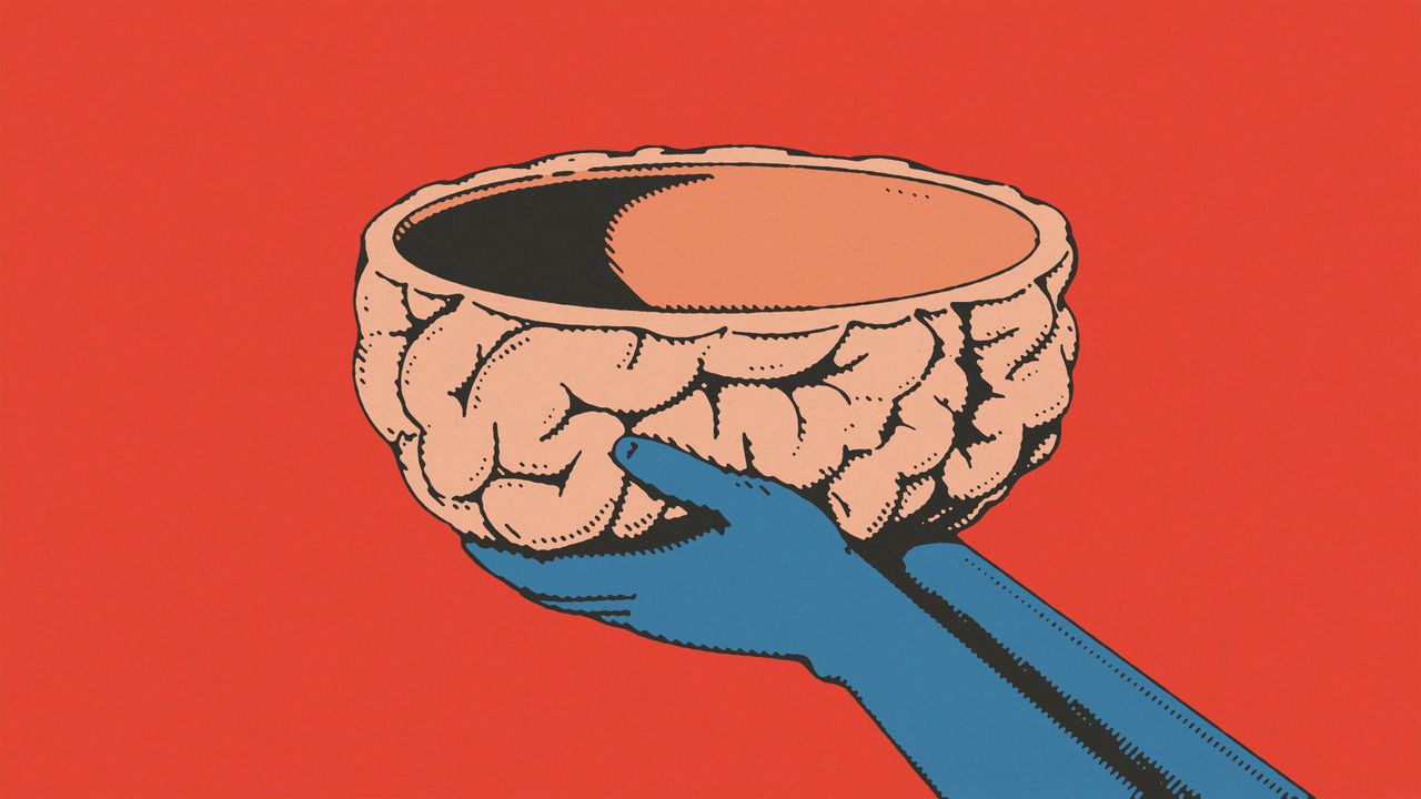 A pair of hands holding a bowl in the shape of a brain 