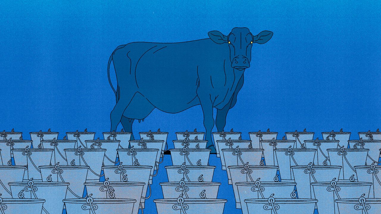 Illustration of a blue cow standing in front of a field of numerous blue buckets. The buckets are all uniformly aligned in neat rows.