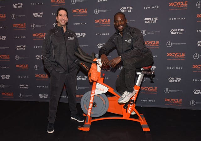 David Schwimmer and Sterling K. Brown Support Cycle for Survival in New York