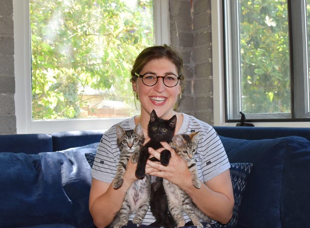 Mayim Bialik ASPCA L.A. Kittens