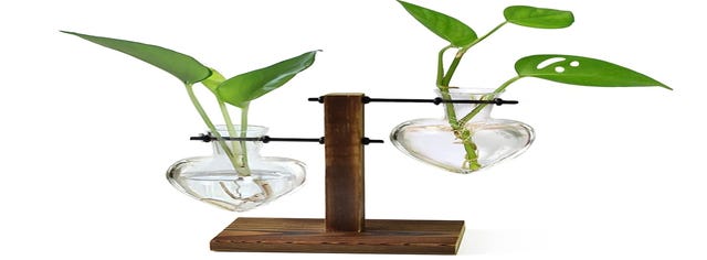 XXXFLOWER Plant Terrarium Wooden Stand