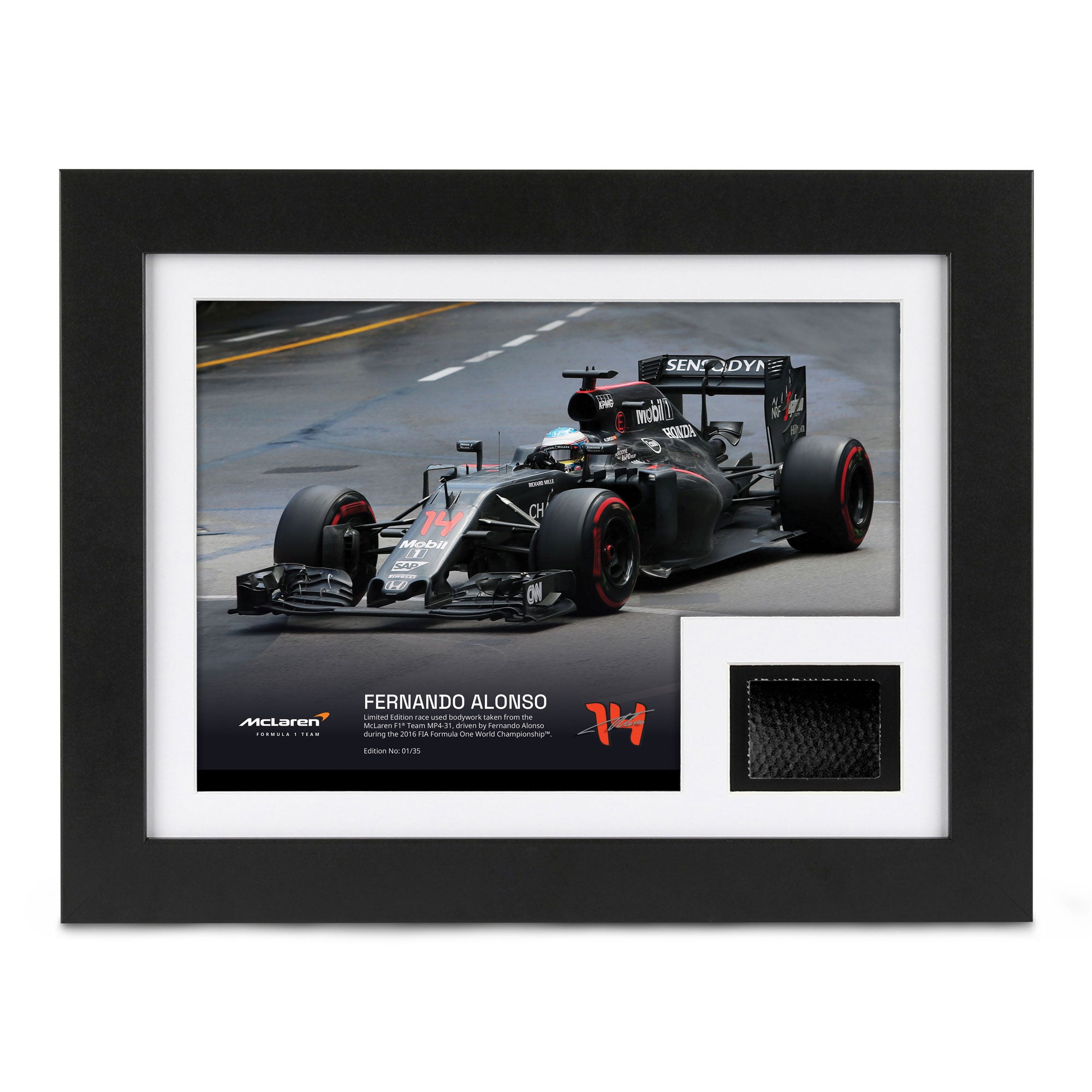 Limited Edition Fernando Alonso 2016 Bodywork & Photo – Monte Carlo