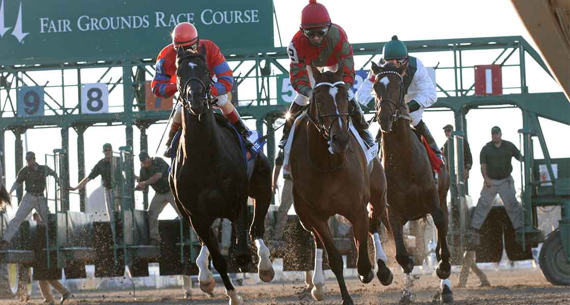 Fair Grounds Horse Racing Information