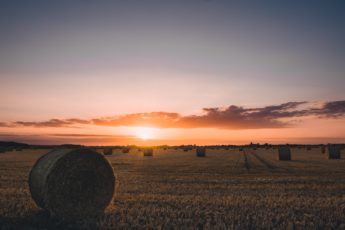 Farm Aid’s Hotline is Hearing from More Farmers. Here’s What They’re Calling About.