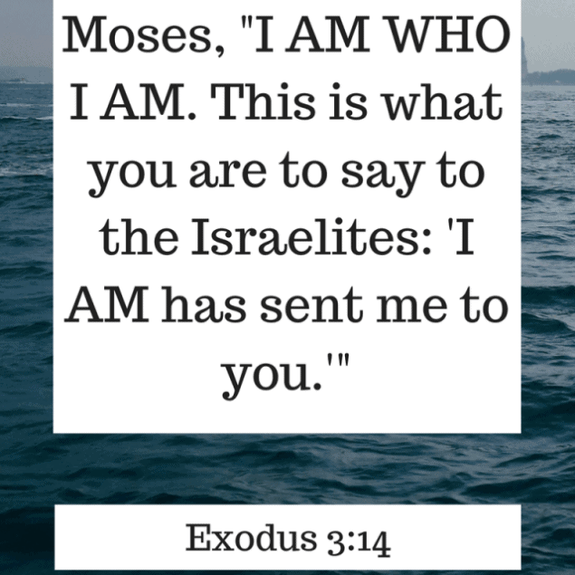 Sunday Reflections - Thoughts on what God has been teaching me throughout the week | #Foodfaithfitness | #Faith #Christian #Bible 