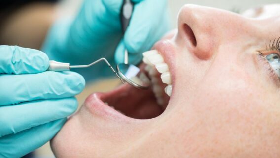 Best Dental Insurance Companies Of 2024