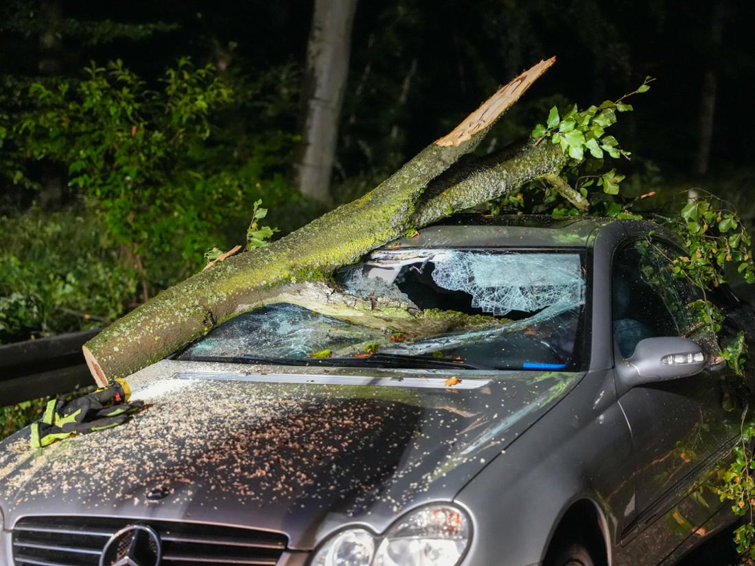 Auf der B44 bei Langen kracht ein Baum in die Windschutzscheibe eines Mercedes.