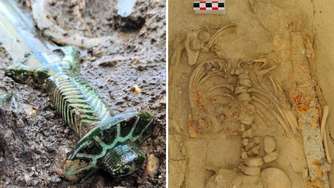 Spektakuläre Archäologen-Funde in Bayern: Vom Steinzeit-Skelett bis hin zu römischen Schuhen