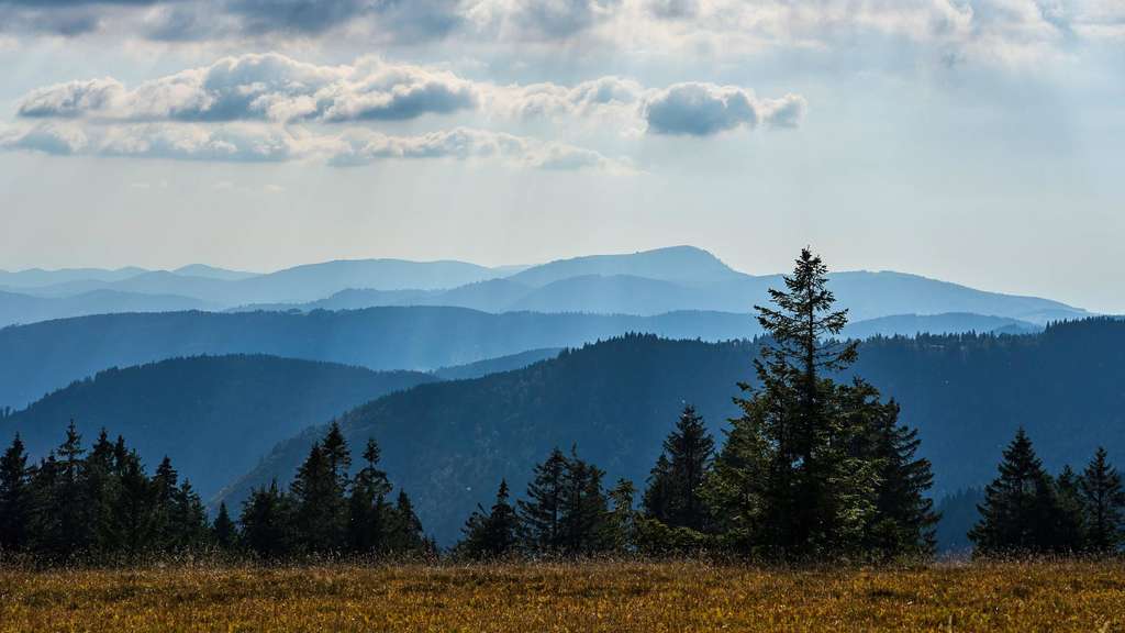 „European Essays on Nature“: Von Zerstörung und Wiederherstellung