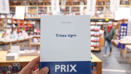 Le roman de Neige Sinno "Triste tigre" (éditions P.O.L), récompensé le mercredi 17 avril 2024 du premier Choix Goncourt Turquie. (SYSPEO / SIPA)